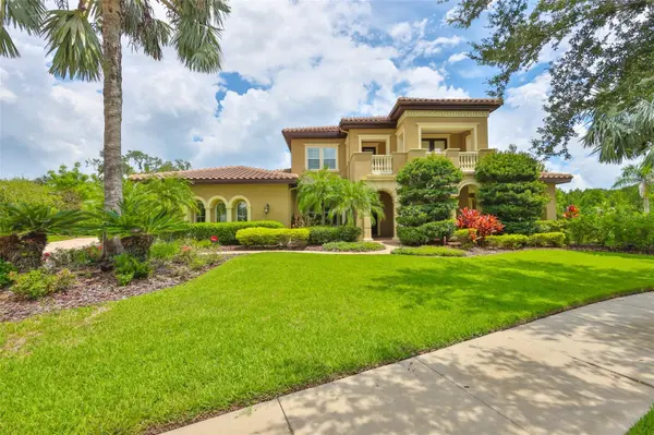 16423 CHAPMAN CROSSING DR,  Lithia,  FL 33547