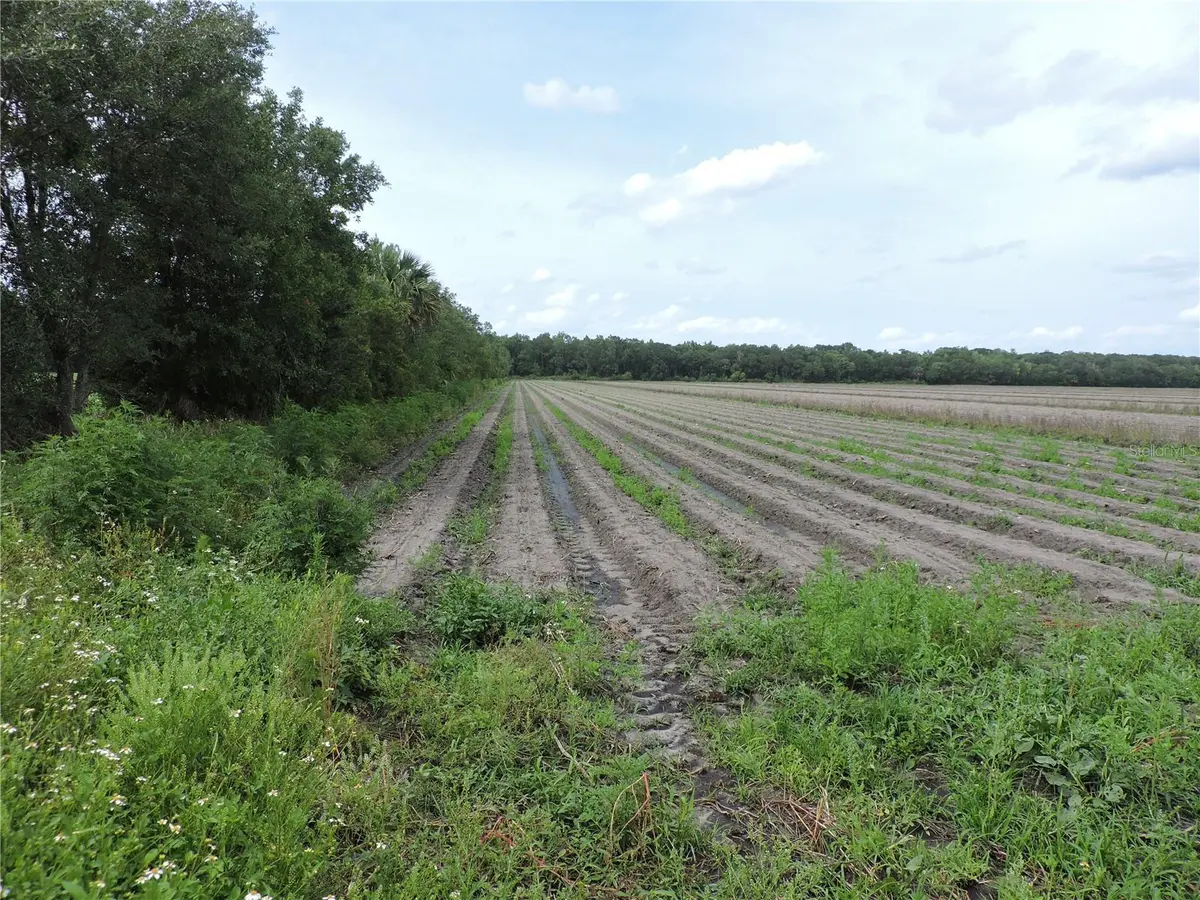 COUNTY ROAD 108 RD, Bunnell, FL 32110