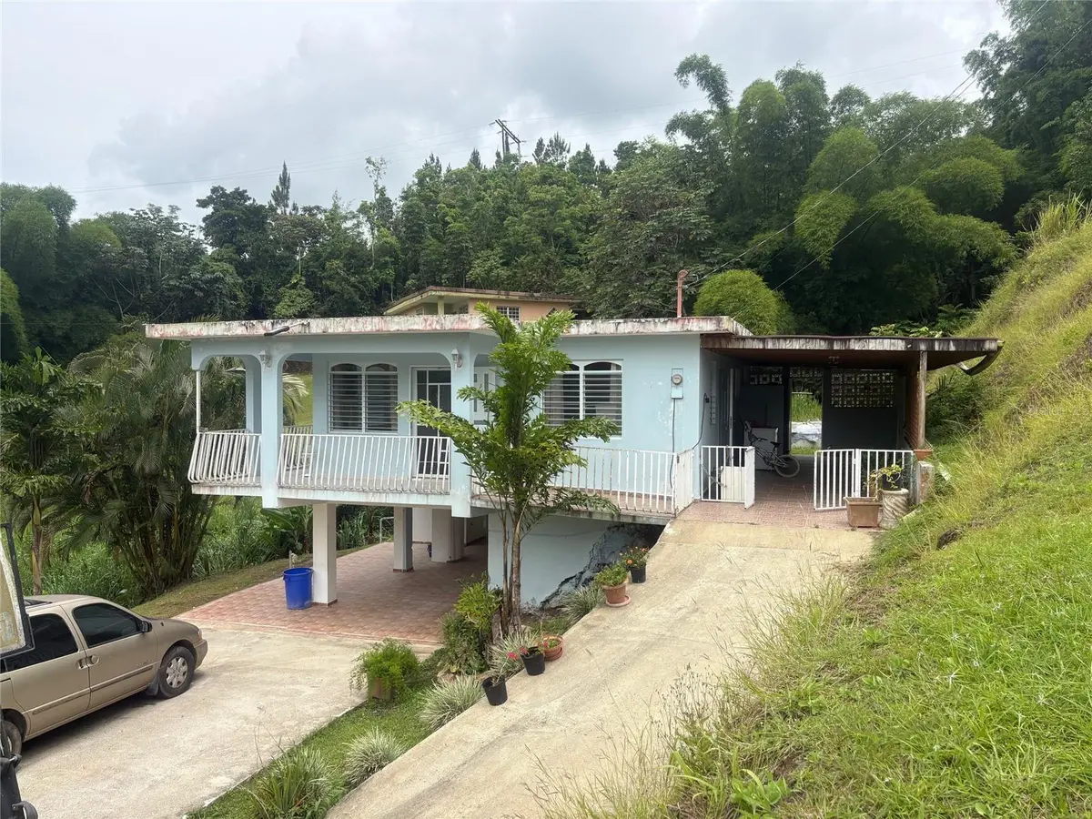 156 BO. MULAS, Aguas Buenas, PR 00703