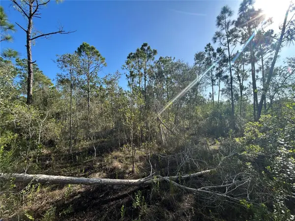 7041 SWEDEN BLVD, Punta Gorda, FL 33982