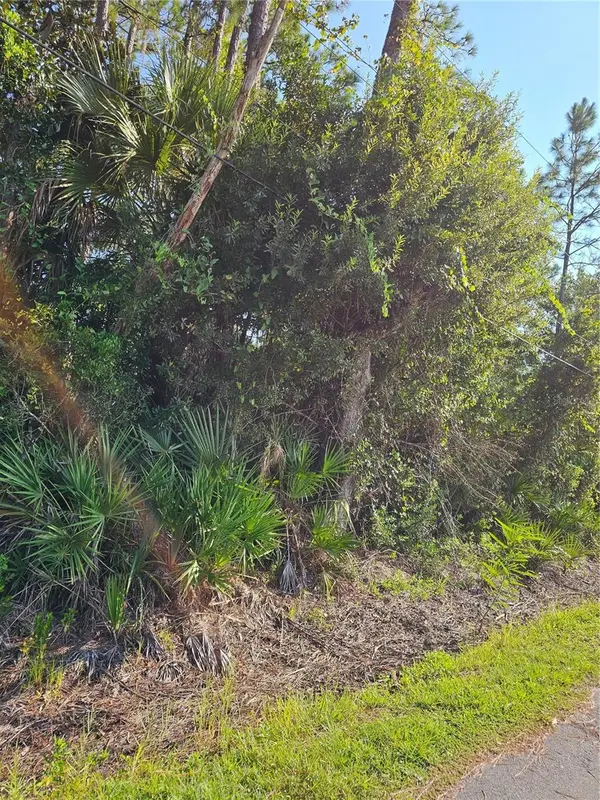 801 FRANZ ST, Bunnell, FL 32110