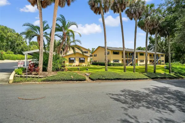 110 N TREMAIN ST #208, Mount Dora, FL 32757
