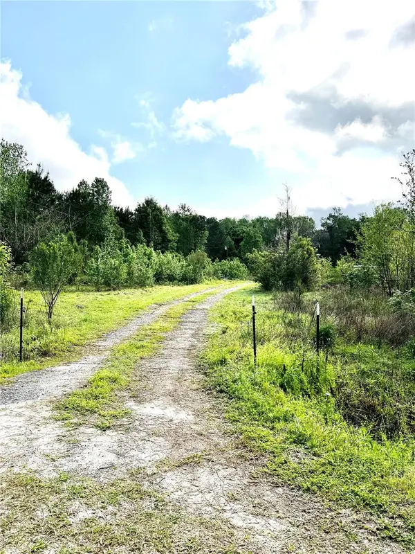 5572 SW 111TH LN,  Lake Butler,  FL 32054