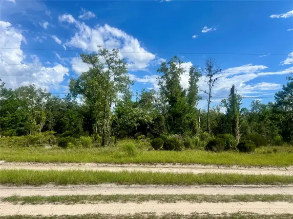 0 NE 99TH PL, Archer, FL 32618