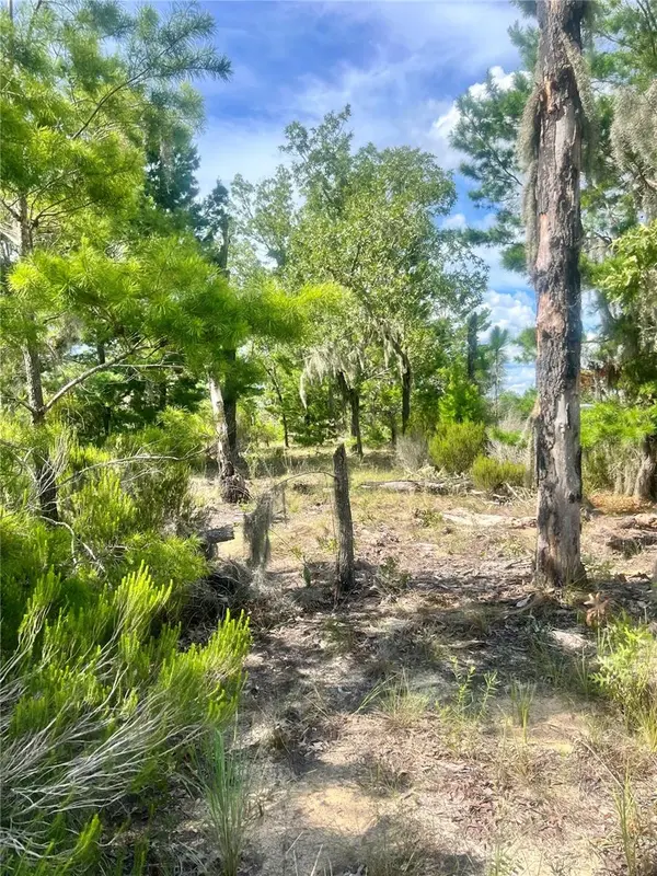 0 NE 99TH PL, Archer, FL 32618