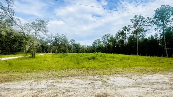 Lot 217 NE 96TH ST,  Archer,  FL 32618