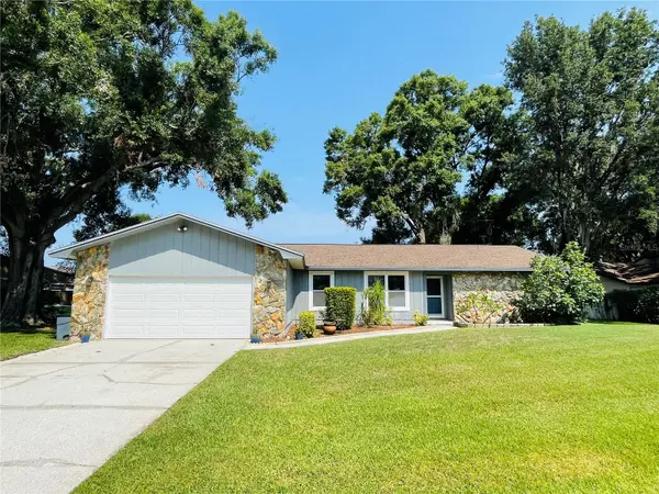 3565 E LAKE DR, Land O Lakes, FL 34639