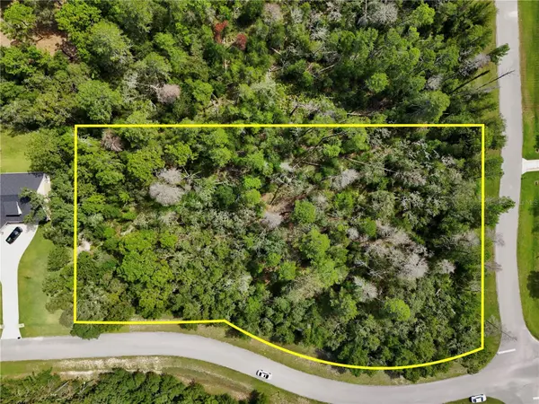 13753 SAND OAK CT, Hudson, FL 34669