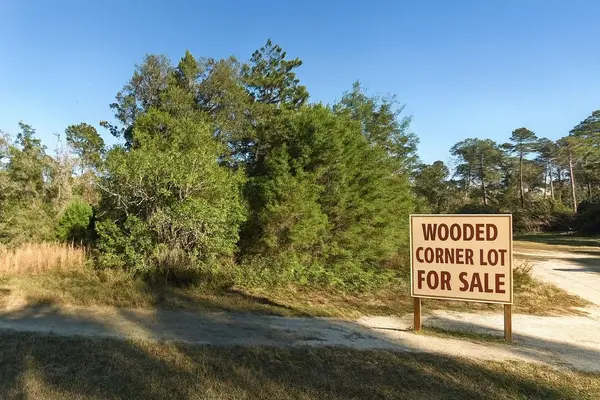 00 NE 235TH PL, Fort Mc Coy, FL 32134