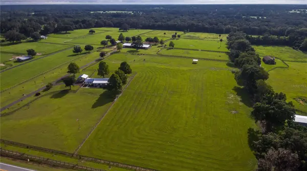 TBD GAINESVILLE RD, Reddick, FL 32686