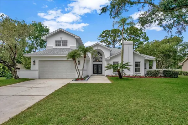 16317 COLWOOD DR, Odessa, FL 33556