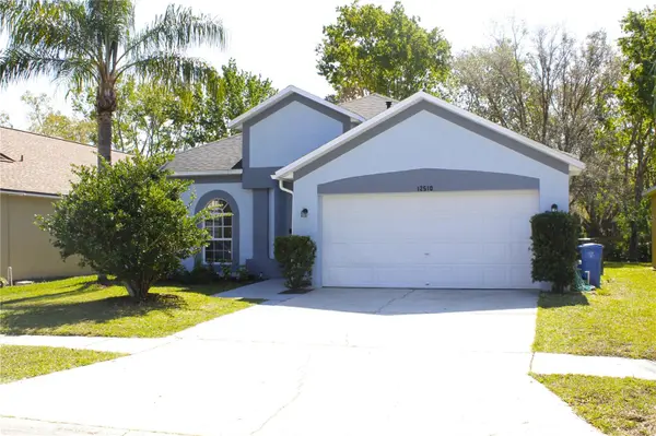 12510 SPARKLEBERRY RD, Tampa, FL 33626
