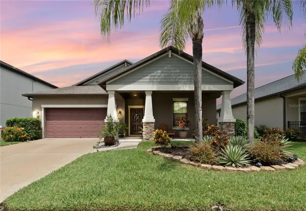 19165 TAVISTON DR, Land O Lakes, FL 34638
