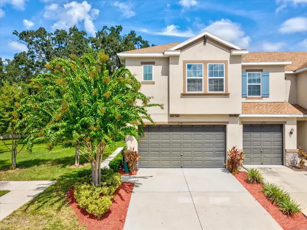 6747 CITRUS CREEK LN, Tampa, FL 33625