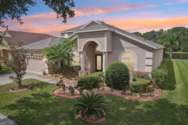 10814 BREAKING ROCKS DR, Tampa, FL 33647