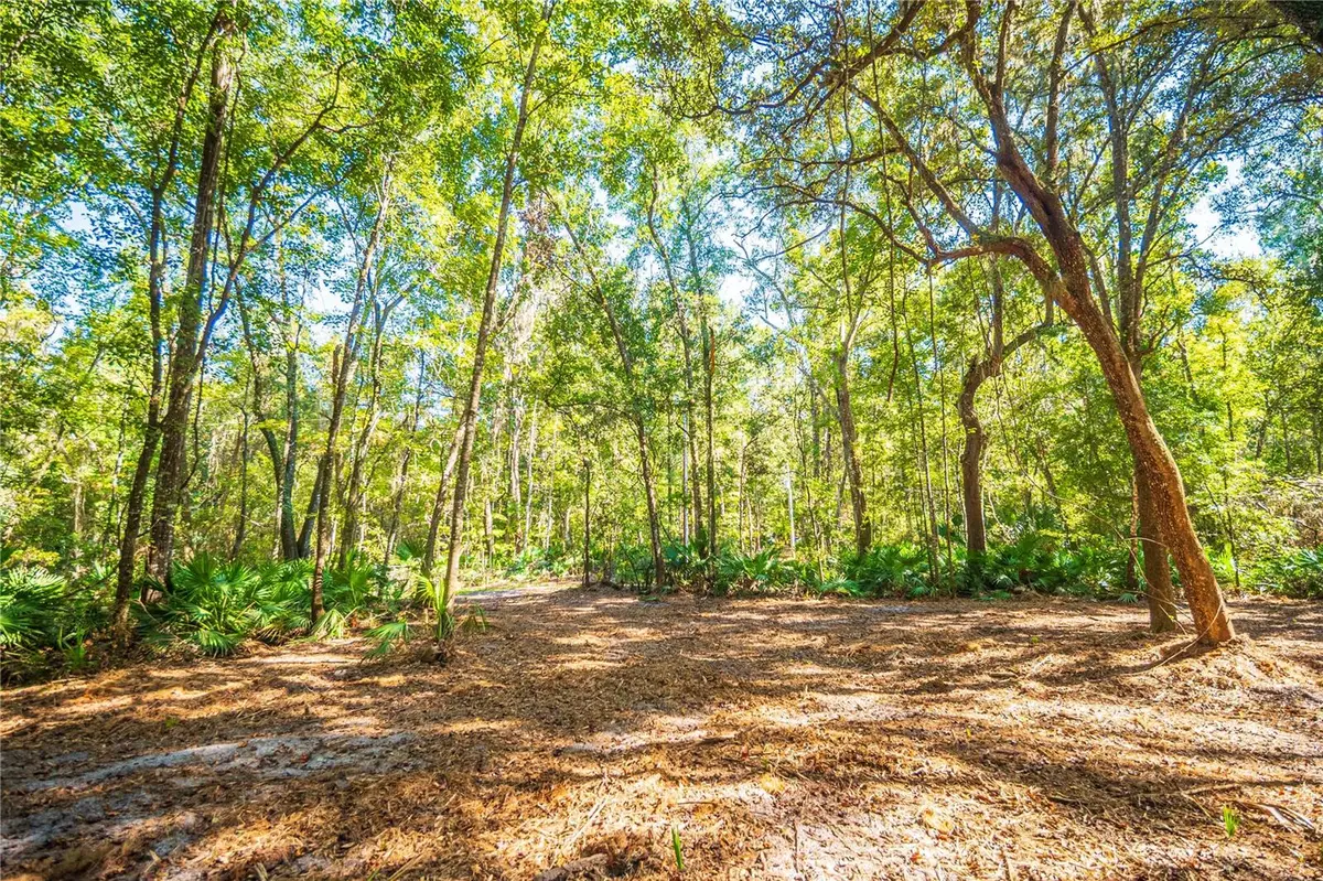 21490 NW 106TH COURT RD, Micanopy, FL 32667