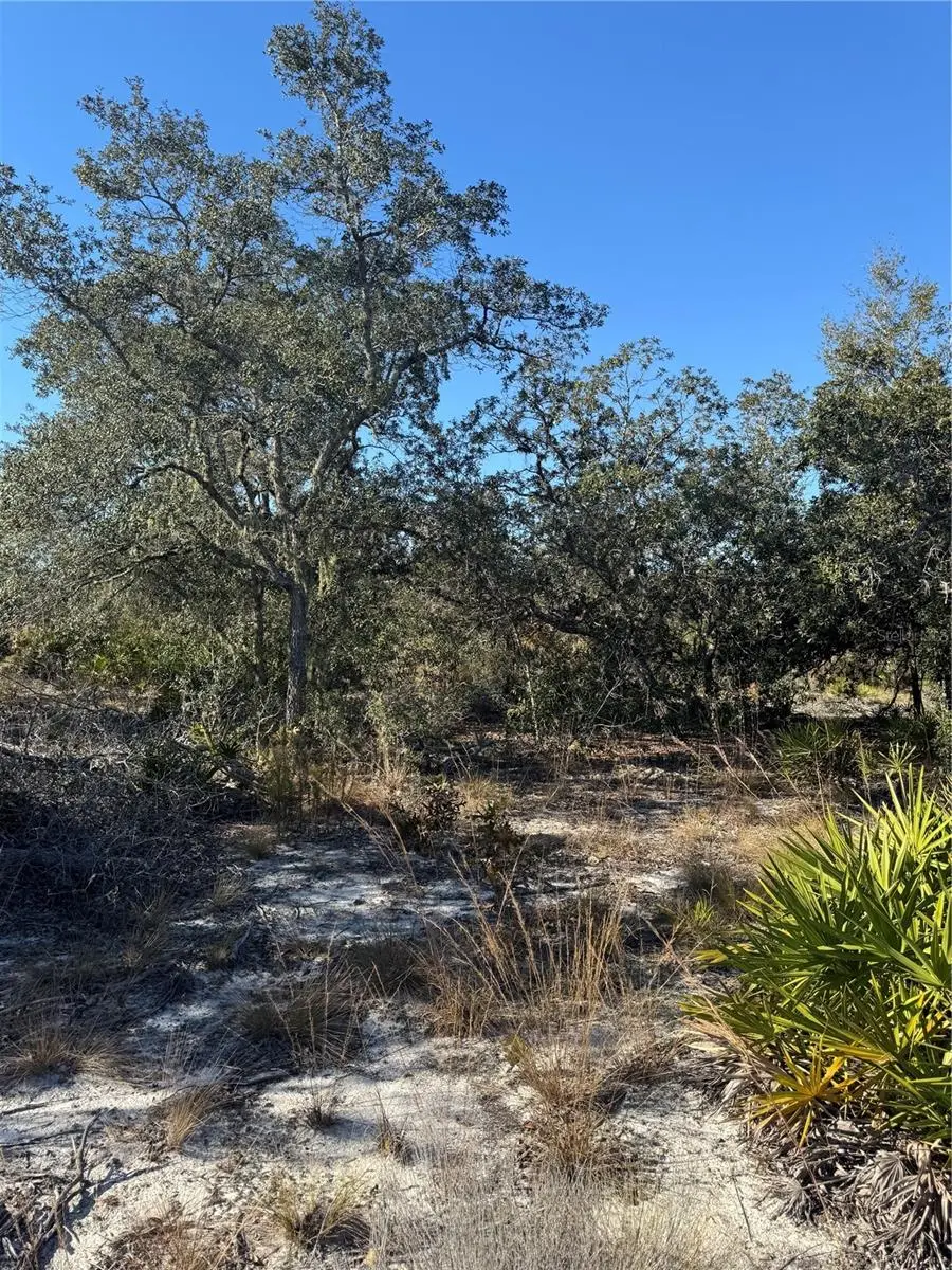 NE 123RD CT, Archer, FL 32618