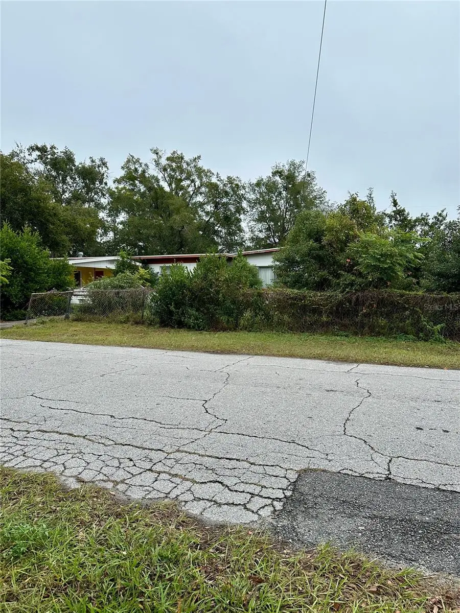 1300 MORNINGSIDE ST, Mount Dora, FL 32757