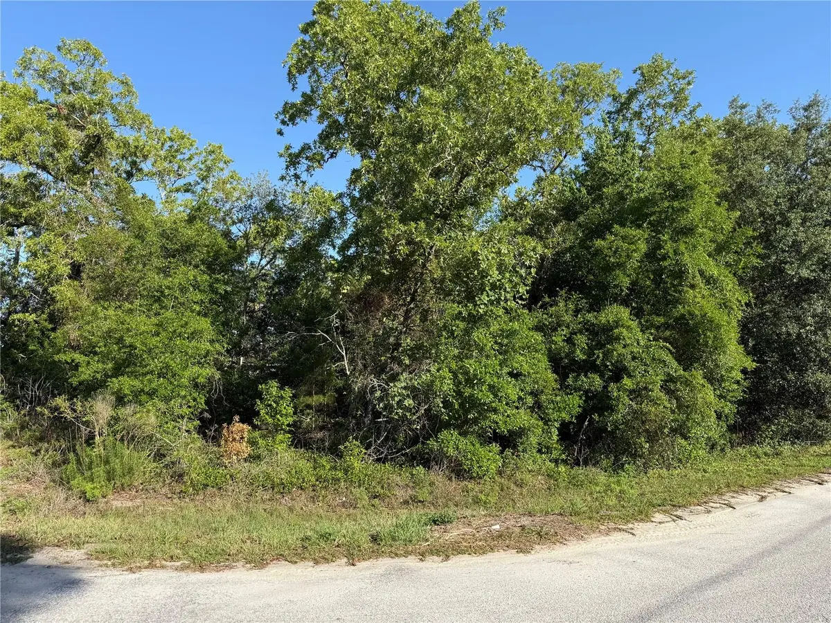 TBD SE 154TH ST, Summerfield, FL 34491