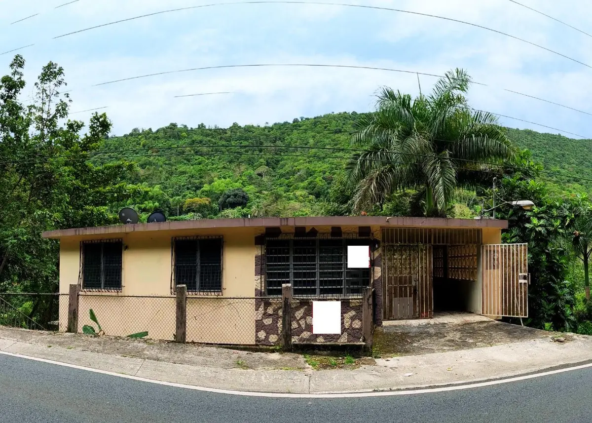 173 CARR SR, Aibonito, PR 00705