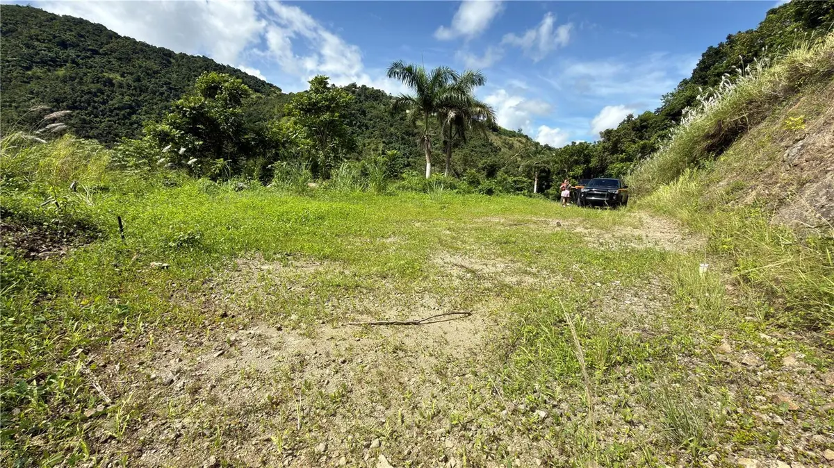 BO. HONDURAS, Cidra, PR 00739