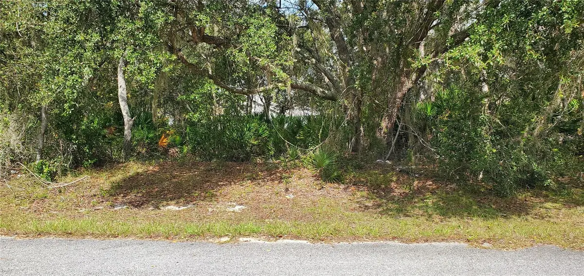 111 WARMOUTH LN, Kissimmee, FL 34759