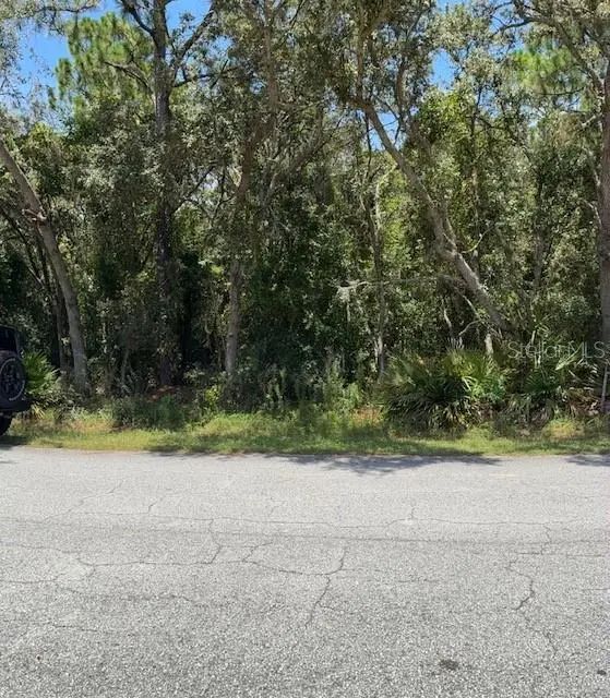 6361 W APPOMATTOX LN, Homosassa, FL 34448