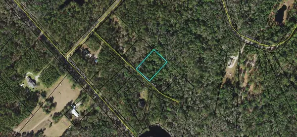 TREBOR LN, Sopchoppy, FL 32358