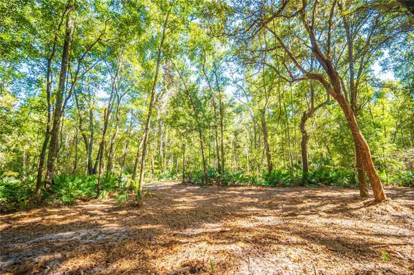 21490 NW 106TH COURT RD,  Micanopy,  FL 32667
