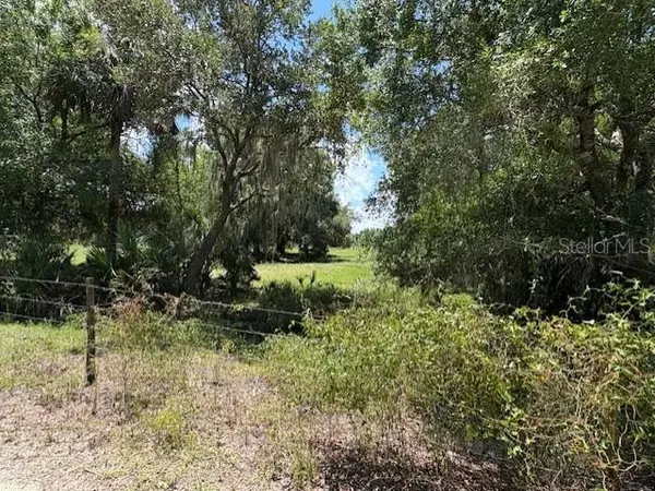 10573 SE FOSTER AVE, Arcadia, FL 34266