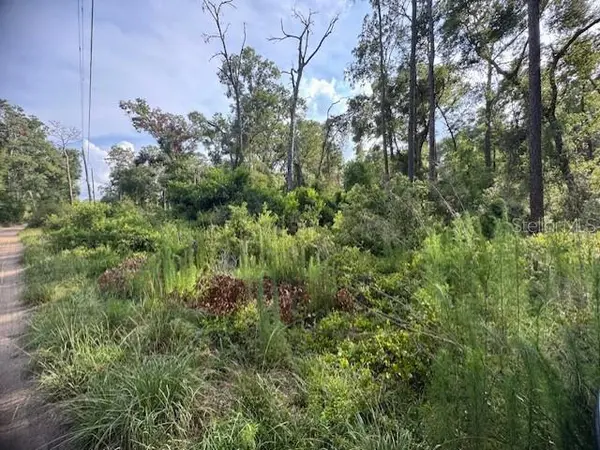 SW 58TH ST,  Webster,  FL 33597