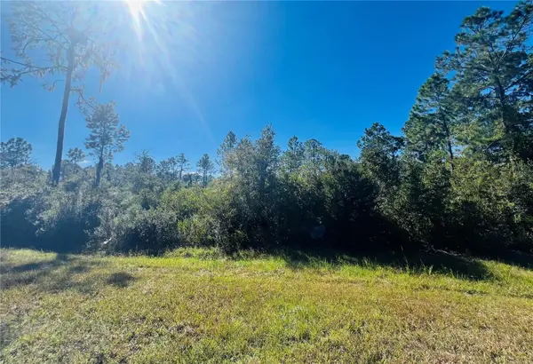 13920 SE 204TH TER, Hawthorne, FL 32640