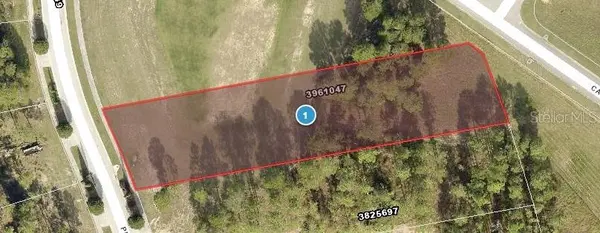 16404 PENDIO DR,  Montverde,  FL 34756
