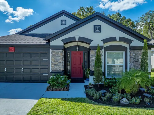 5207 ALGERINE PL, Wesley Chapel, FL 33544