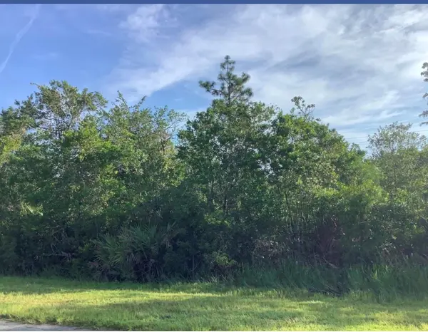 WEMBLEY AVE, Orlando, FL 32833