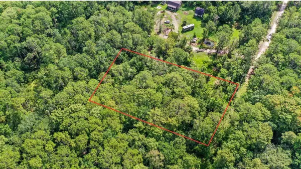 AMELIA TRL, Kissimmee, FL 34747