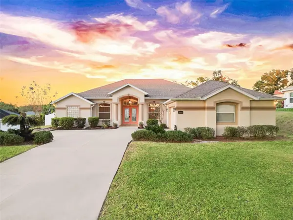 10809 VINEYARD CT, Clermont, FL 34711