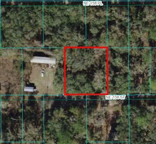 00 NE 158TH ST,  Fort Mc Coy,  FL 32134