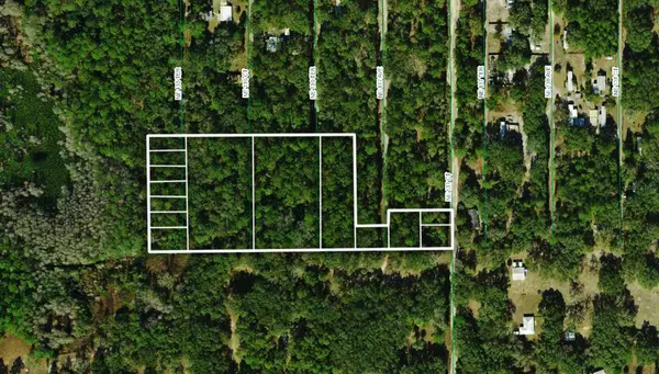 TBD NE 137TH CT, Fort Mc Coy, FL 32134