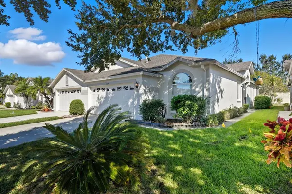 30049 EMMETTS CT, Wesley Chapel, FL 33543