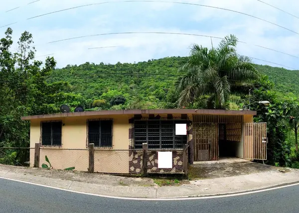 173 CARR SR,  Aibonito,  PR 00705