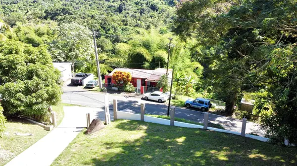 BO. GUZMAN ABAJO CARR. 956 KM 4.2, Rio Grande, PR 00745