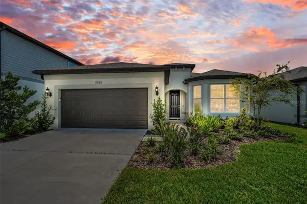 3826 IVY SPRINGS LN, Land O Lakes, FL 34638