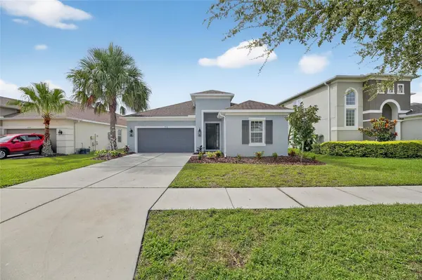 17724 BRIGHT WHEAT DR, Lithia, FL 33547