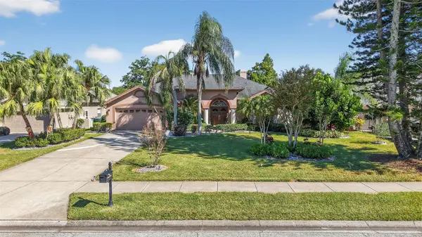 207 HANCOCK CT, Safety Harbor, FL 34695