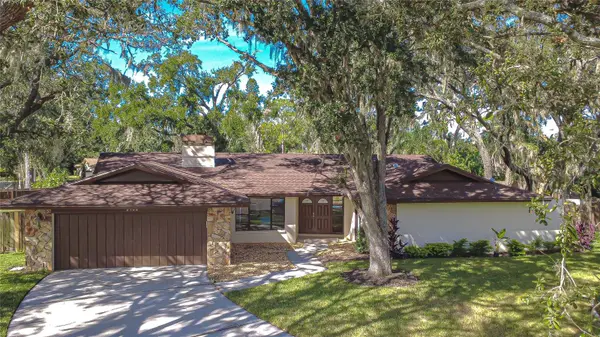 2102 DOEFIELD CT, Valrico, FL 33596