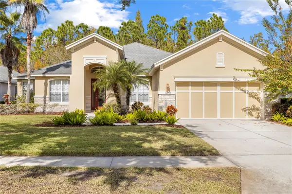 12013 MERIDIAN POINT DR, Tampa, FL 33626