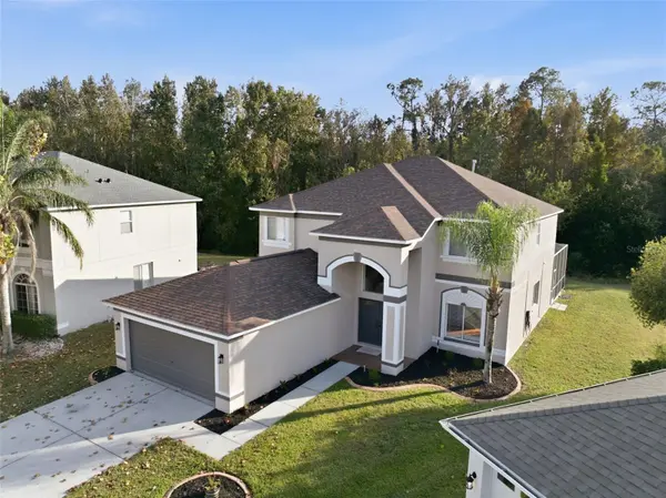 25131 GEDDY DR, Land O Lakes, FL 34639