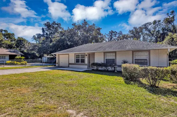 1134 E 10TH AVE, Mount Dora, FL 32757