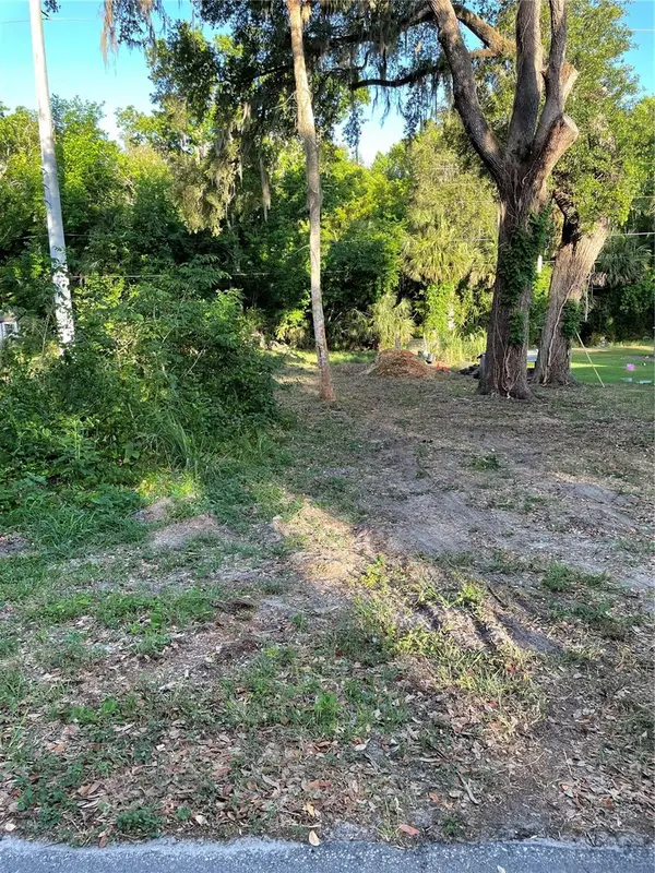 5320 PARK AVE, De Leon Springs, FL 32130